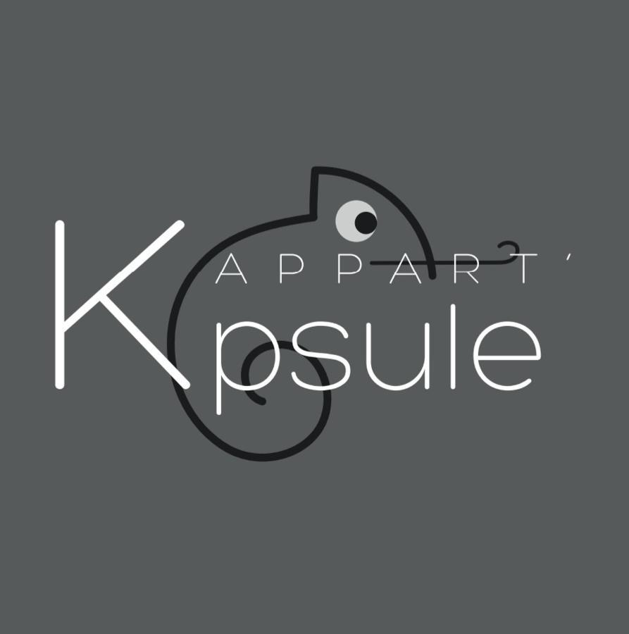 L'Appart K-Psule - Design, Tout Confort, Centre-Ville, 3 Pers Le Mans Exterior foto